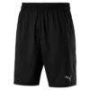 PUMA A.C.E. Drirelease 10" Short Herren Sporthose Trainings Hose 517352 03 Schwarz -Sportbekleidung 051983162669ffb3d1c22b74e72e100f