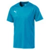PUMA Unisex LIGA Jersey Core Trikot T-Shirt 703509 Blau