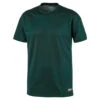 PUMA Herren A.C.E. SS Tee T-Shirt DryCELL Grün 516648 -Sportbekleidung 6b5d9790f2c0eeab6563b7fa0742001b