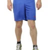 PUMA KC Team Ticino Short Fußball Traingsshorts Herren Sporthose Blau -Sportbekleidung 8f7c365581a961e84e2b4dce1d0d9126
