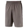 PUMA A.C.E. Drirelease 10" Short Herren Sporthose Trainings Hose 517352 05 Grau -Sportbekleidung ba7b22b2bcc23b0a5ca9f29f42096654