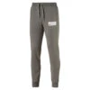 Puma Style Athletics Pants TR CL Sweat Sporthose Trainings Hose Grau 850046 -Sportbekleidung dd64df219fcc91761b623f0c1db4b3fa