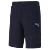 PUMA Herren TeamGOAL 23 Casuals Shorts Trainingshose 656581 Blau -Sportbekleidung dda5397fc7405945e394debdcb5da14c
