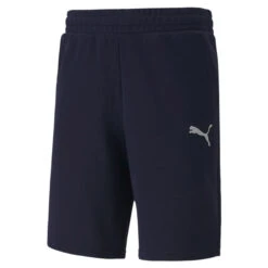 PUMA Herren TeamGOAL 23 Casuals Shorts Trainingshose 656581 Blau